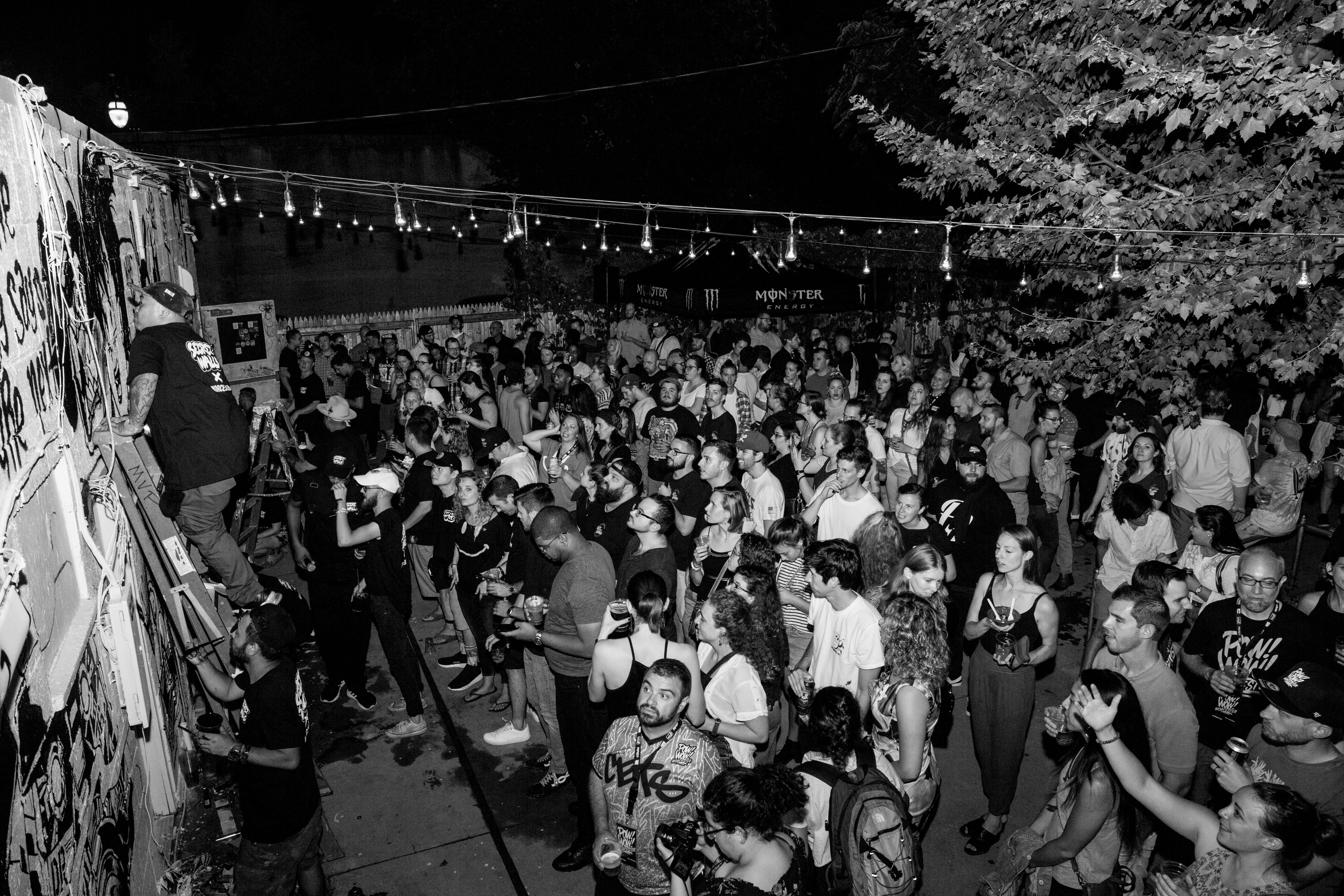 Crowd @ Pow! Wow! Worcester, 2018 Massachusetts (Credit_ Lanny Nguyen)